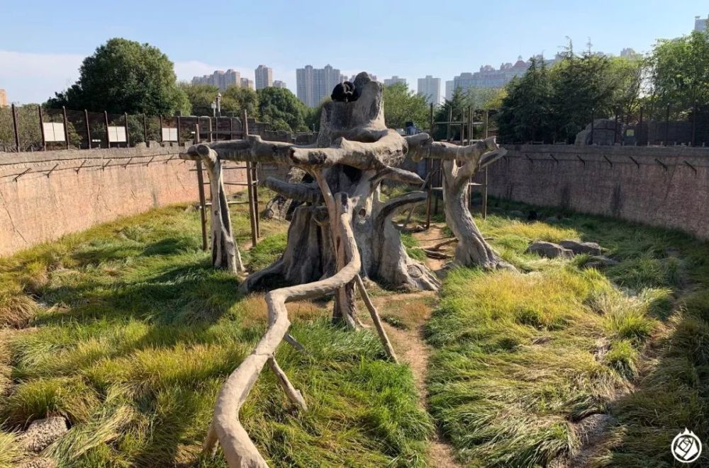 南昌动物园游记