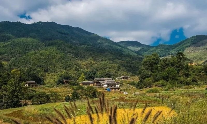 箔竹村:深山里的世外桃源