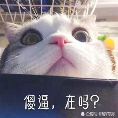 "温柔可爱甜美可亲的声音响起.
