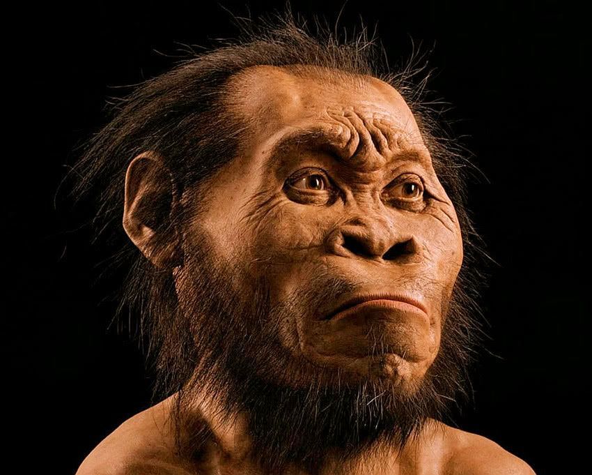 "人类现代起源学说—非洲祖先论"——科学界的神话故事