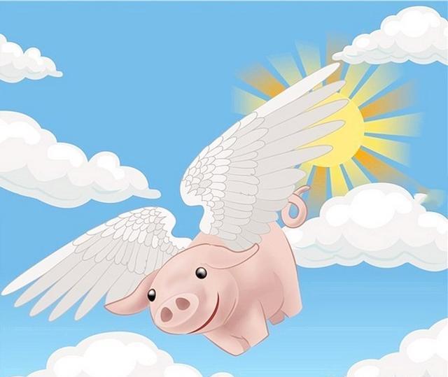 搞笑图片幽默段子笑话:猪,你终于飞起来了!