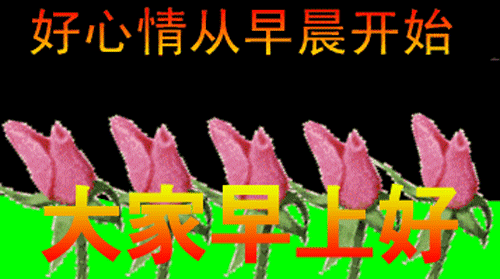 微信表情早上好祝福语 仲冬早上好动态图片大全