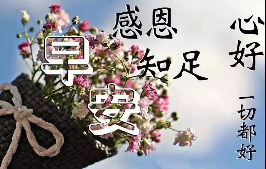 早上好图片带字和鲜花,早晨动态图片大全 最漂亮早上好动态图片大全