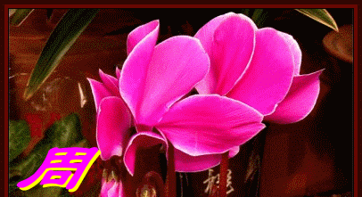 周末问候祝福语周末愉快happyeveryday