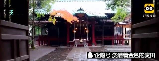 日本婚宴都吃什么 跟国内的比较真的是大不一样 看点快报
