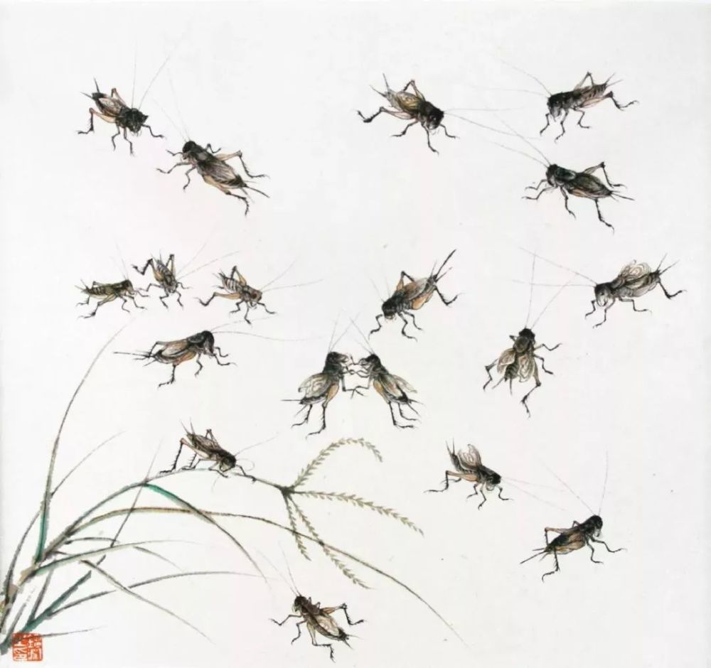 鸣虫:蝈蝈,蟋蟀,油葫芦画法示范