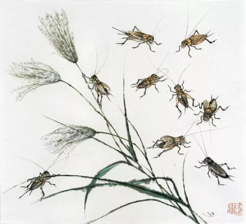 鸣虫:蝈蝈,蟋蟀,油葫芦画法示范