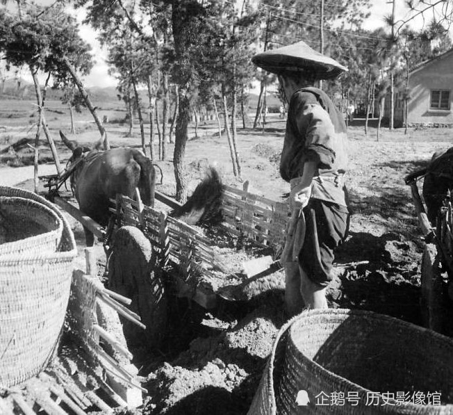 图为下地的农民在施肥.