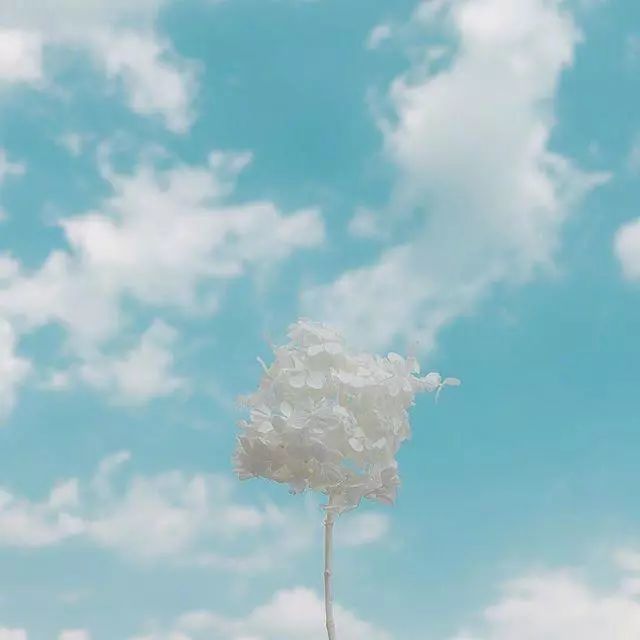 2020微信必火的句子,百读不厌!