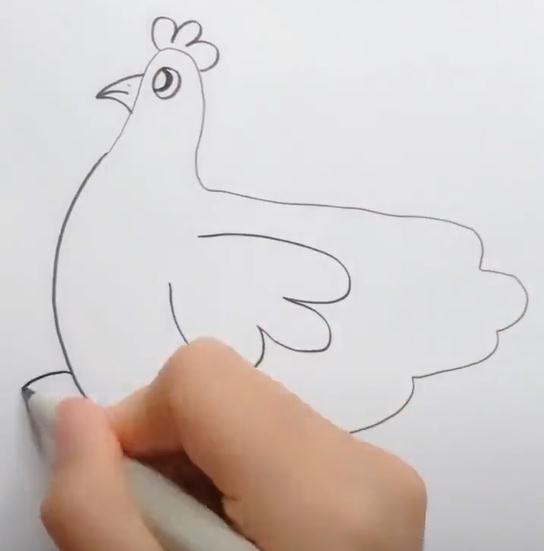 母鸡,翅膀,黑白灰,小拇指,孵蛋
