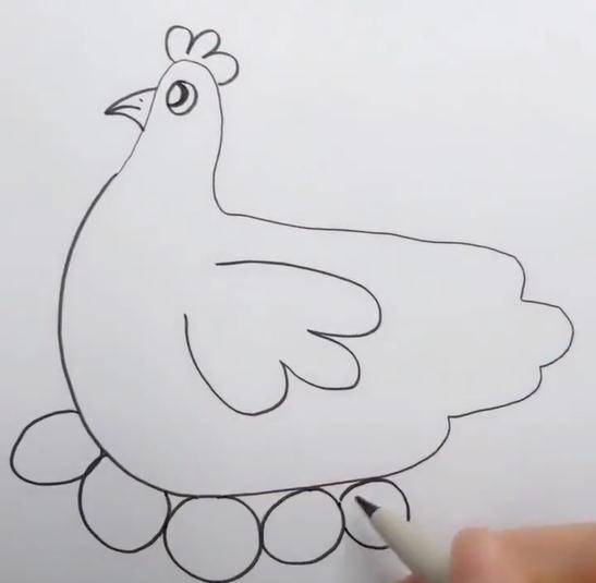 母鸡,翅膀,黑白灰,小拇指,孵蛋