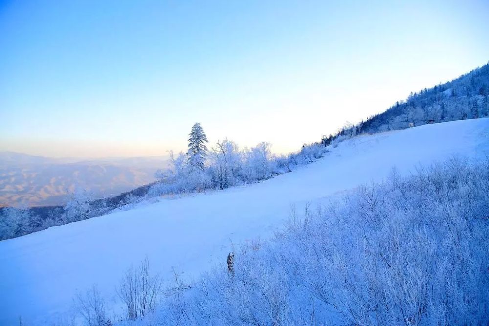 东北简直是绝佳去处,厚厚的积雪,无论是滑雪,还是刺激的冰上雪圈,又或