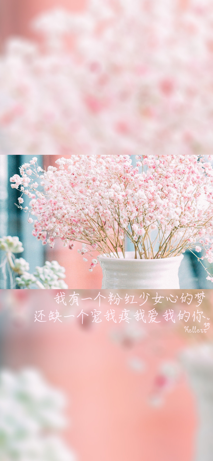 壁紙星