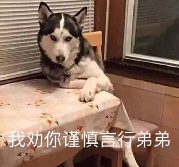 各种宠物表情包:我等的狗他在多远的未来
