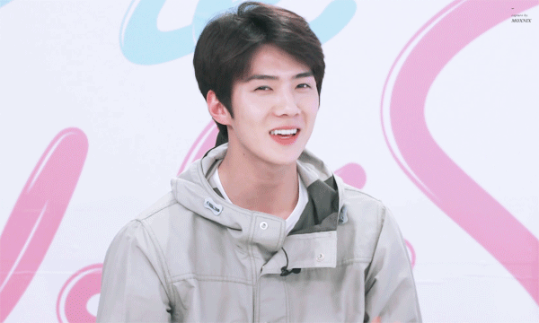 exo电脑壁纸:你是我新鲜感褪去后仅存的心动