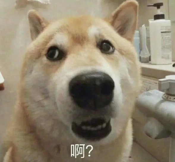 情侣,戏精,恋爱,爱情,逗比