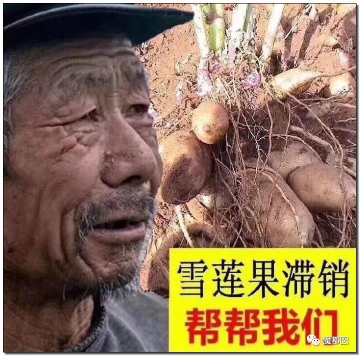 比如我们常见的"救救农民" ,"xx滞销,帮帮我们,救救我们"都有其头像