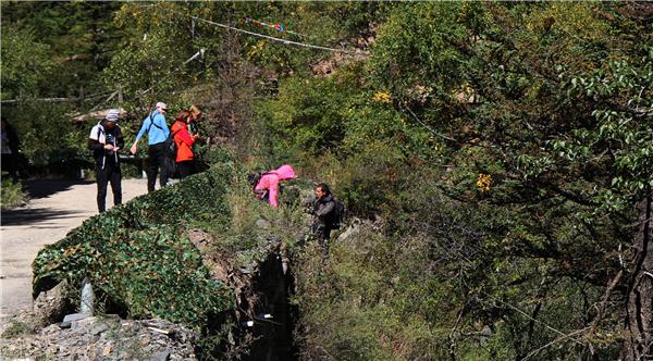 傅园慧携贝爷玩荒野生存 正面回应与孙杨绯闻