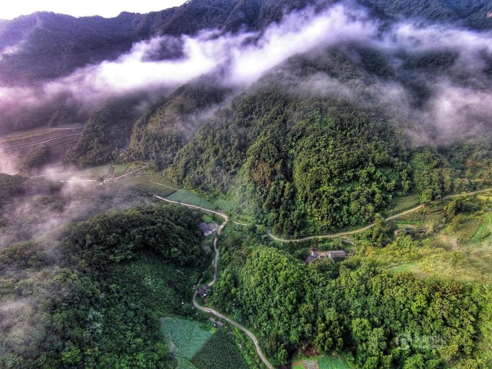 [中国人的一天]靠山吃山的大学生电商夫妇 - 
