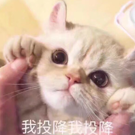 撩妹必备表情包:就没有我撩不动的妹!