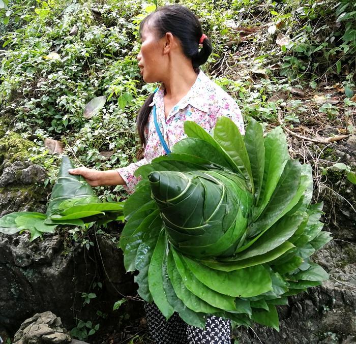 遇一卖树叶编织的太阳帽的,帽子有手工艺品的味道,可惜不好保存,用料