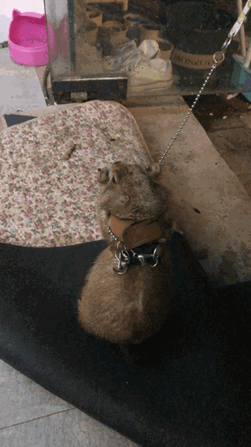 于是我迫不及待地就