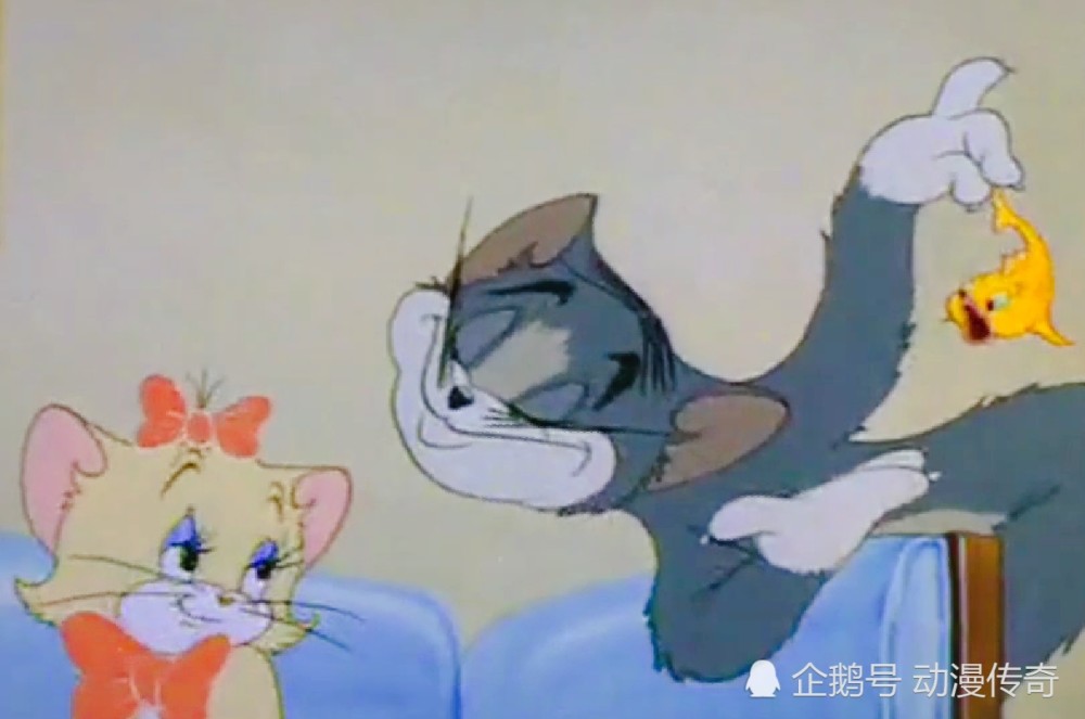 猫和老鼠:汤姆看上的仙女猫们,各个都是大美女,杰瑞都