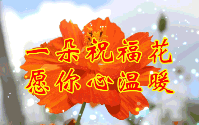 三八妇女节|祝女性朋友幸福快乐!