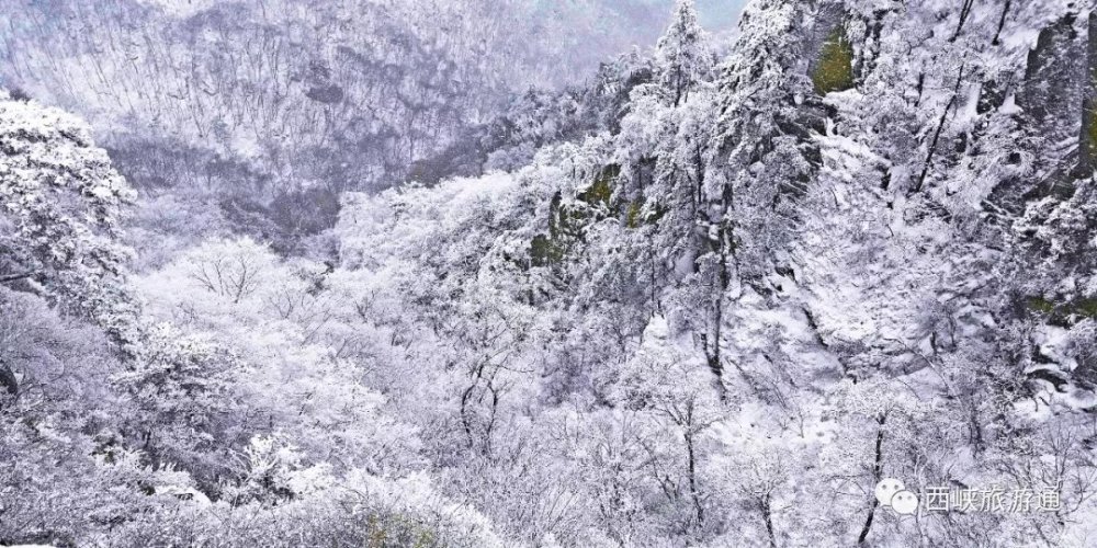 2018西峡入冬初雪来袭!老界岭雪景美成铅笔画,你确定不收藏