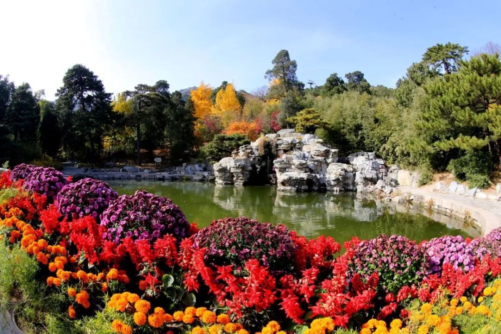 北京20处最美"落叶景观区"出炉!周末约起
