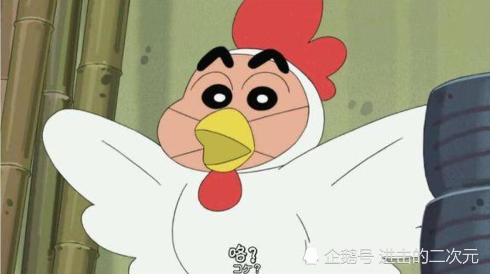 熊猫,卡通人物,coser,龙猫,公鸡