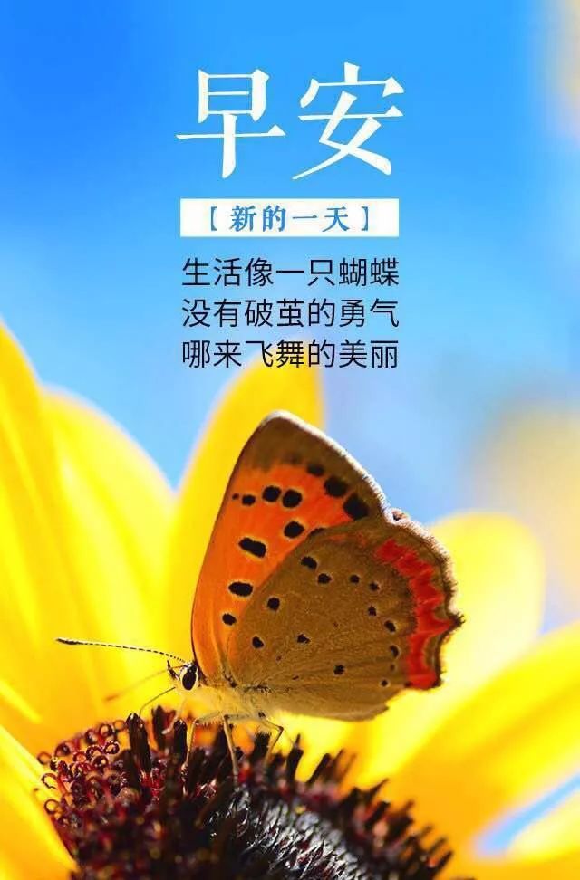 早安正能量的句子带图 2018早安图片朋友圈早安图片