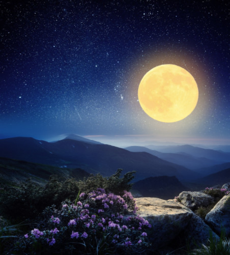 夜空的满月和闪亮的星星,月亮也是如此美丽,如同梦境