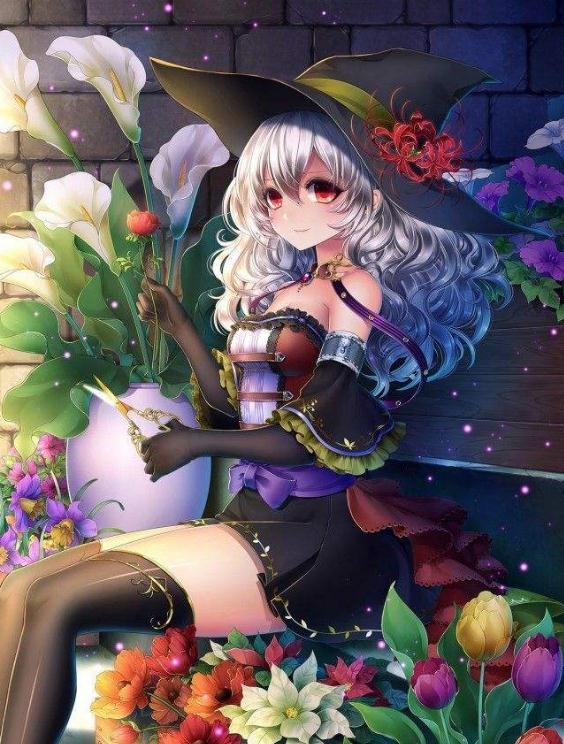 二次元双马尾少女:喜欢昙花,它很聪明,愿意用一瞬换一生的永恒