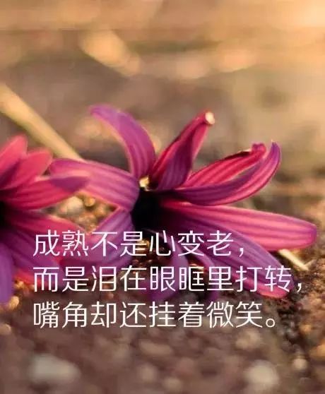 朋友圈感悟人生的经典短语 适合发朋友圈的说说心情短语