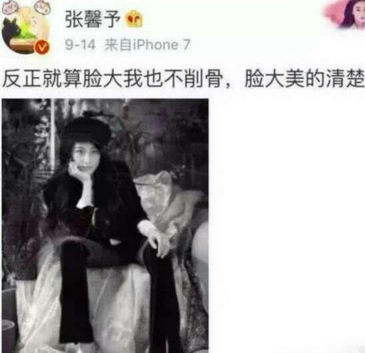 张馨予小时候照片,脸大美的清楚!