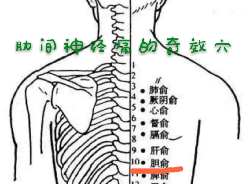 养生系列之穴位篇56:督俞,隔俞,肝俞,胆俞,脾俞之说