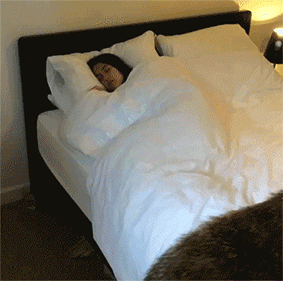 保证你舒服的不想起床!