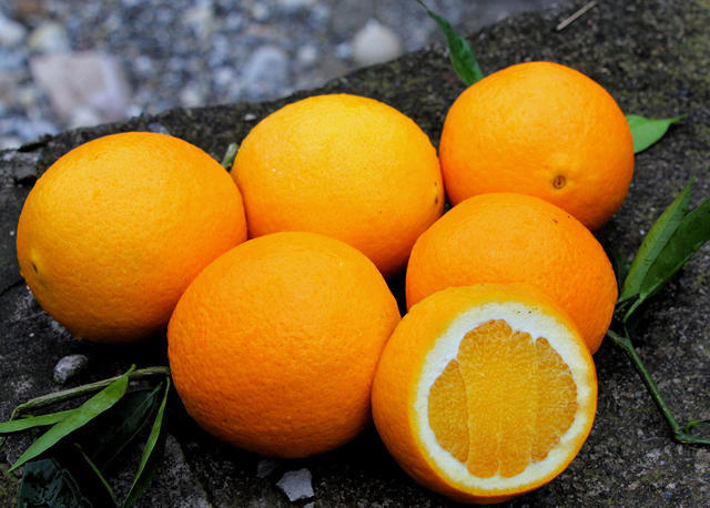 全国"最好吃"的4种橙子品种!每一口吃起来鲜甜爆汁,你