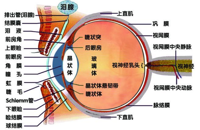 裂隙灯介绍,角膜炎用裂隙灯可以检查出来吗?