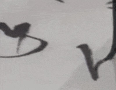 书法 书法作品 399_310 gif 动态图 动图