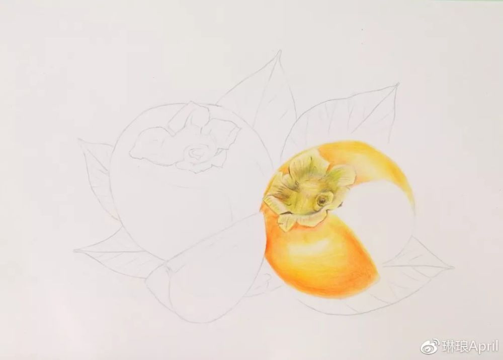 【彩铅教程】柿子的画法