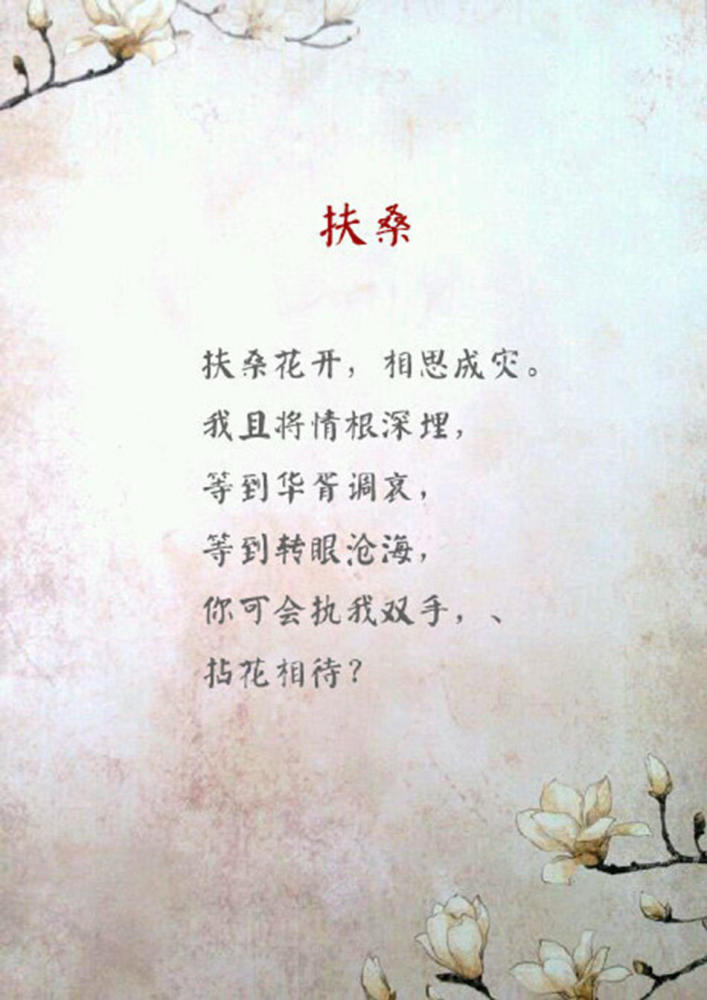 古风 花语带字壁纸 初展柔情的一瞬 你是否乱了芳华 看点快报