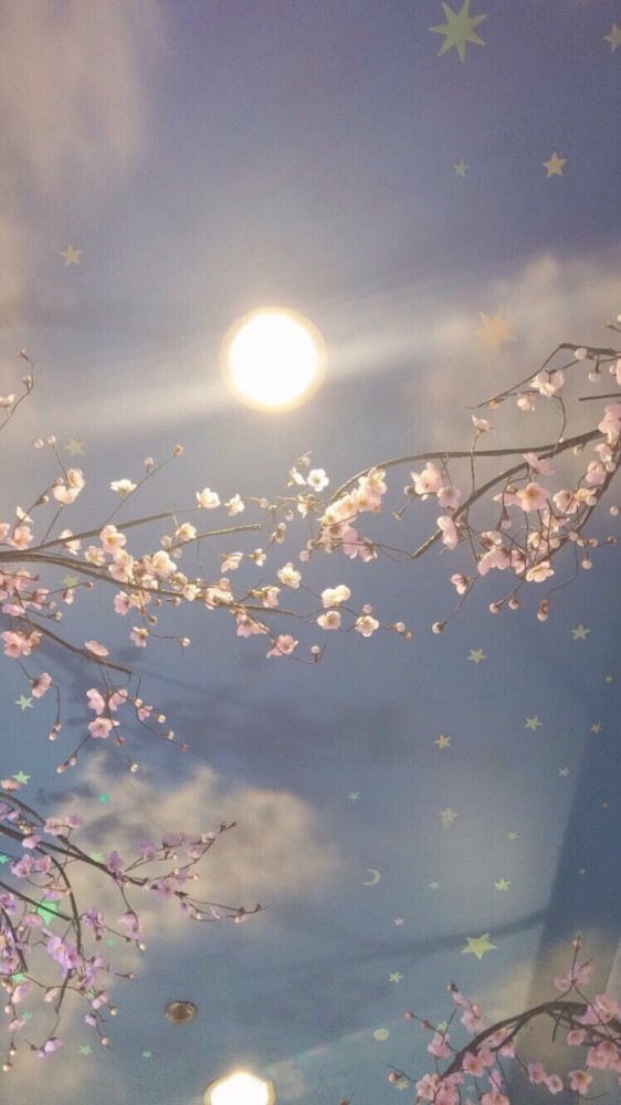 唯美·风景·壁纸:生活不止眼前的苟且,还有远方浪漫夕阳田野