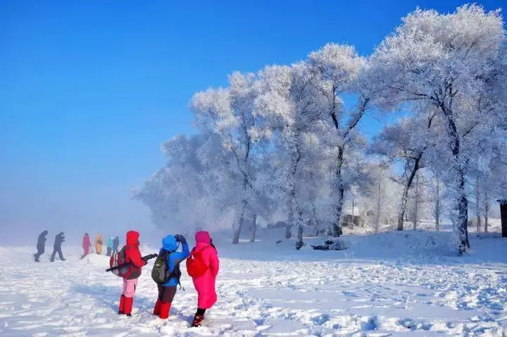 冬天十分美,东北雪景最无敌!纯洁的铺天盖地!