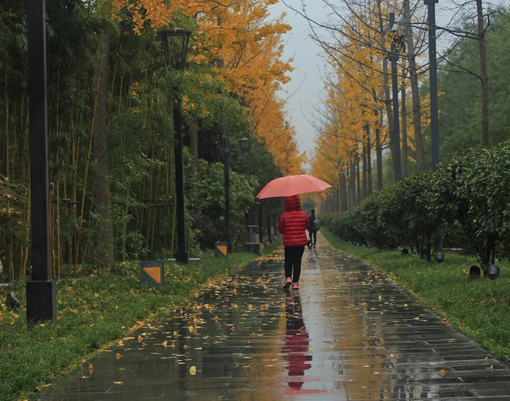 雨中背影好美