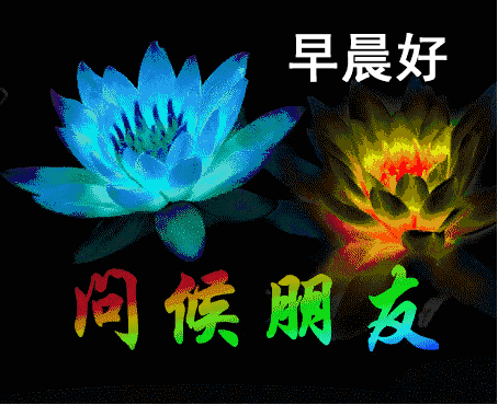 2018最新版早上好动态图片表情包带字和鲜花 问候早上