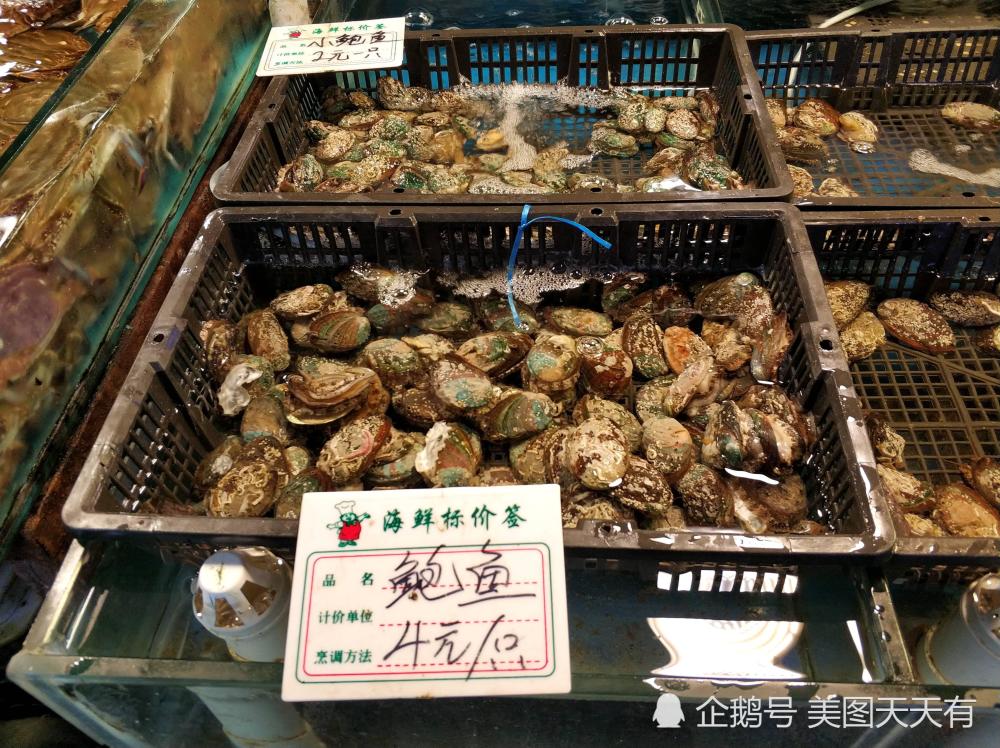 本地刀鱼160一斤 实拍青岛地下海鲜厅 店家明码标价买