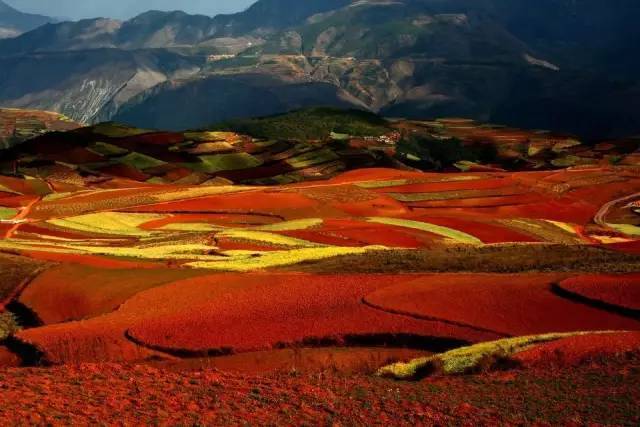 云南 元阳梯田 罗平油菜花 九龙瀑布 东川红土地 元谋