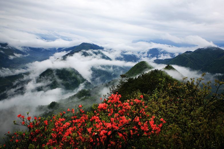 呼伦贝尔,南山牧场,城步,湖南,蓝氏